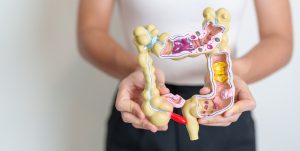 The Digestive System