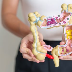 The Digestive System