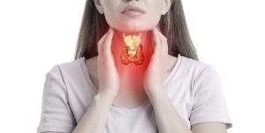 The Endocrine System