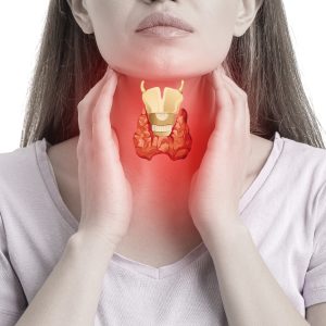 The Endocrine System